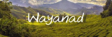 Wayanad Cottages